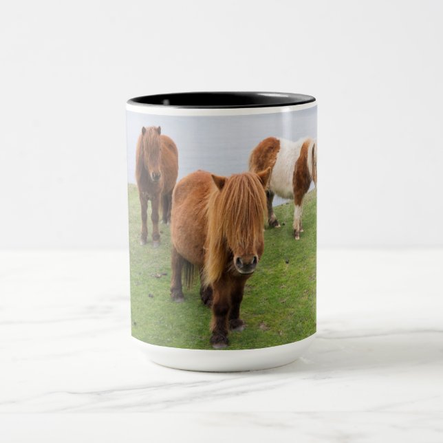 Mug Poney Shetland sur le pâturage près de hautes fala (Centre)
