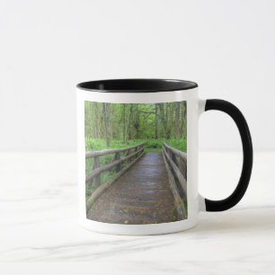 Mug pont en bois du sentier Maple Glade, fougères et