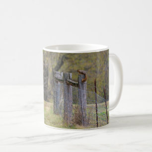 Mug Pose de café Pose de clôture d'écureuil