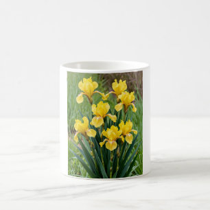 Mug Posy de passion