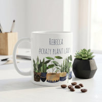 Pot de plante et cactus de la dame aux plantes fol
