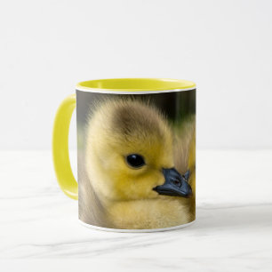 MUG POUSSINS CARESSANT