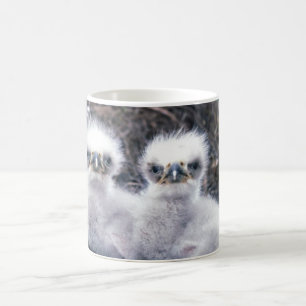 Mug Poussins d'Eagle chauve