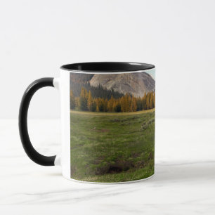 Mug Pré de Tuolumne, Yosemite