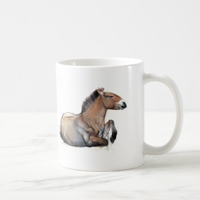 Mug Przewalski posé 2011 (Droite)