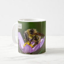 Psaume 115:13 abeille à miel KJV 325 ml.