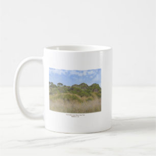 Mug Pt. Station lumineuse de Cabrillo Parc national de