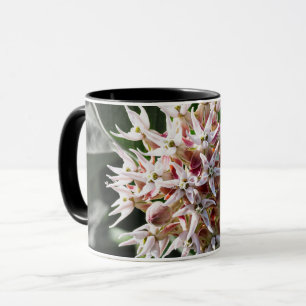 Mug Pureté rayonnante : photo de la fleur de l'algue b