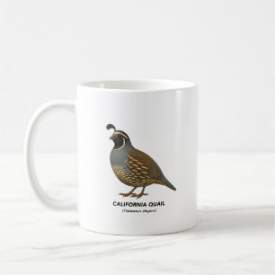 Mug Quail de Californie - Oiseaux de Californie