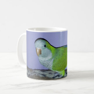 Mug Quaker Parrot