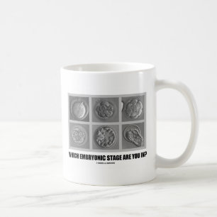 Mug Quelle étape embryonnaire êtes-vous dedans ?