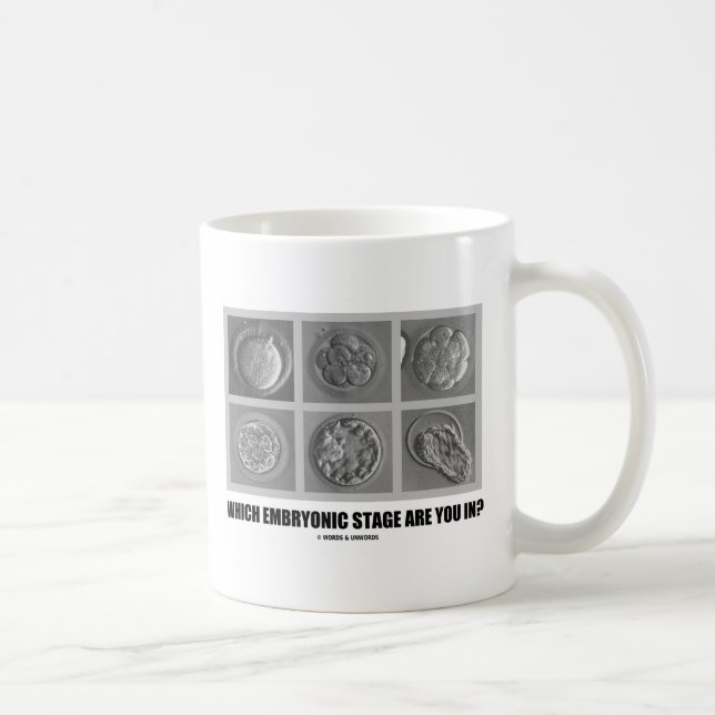 Mug Quelle étape embryonnaire êtes-vous dedans ? (Droite)