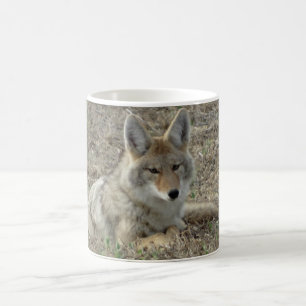 Mug R22 Coyote Couché