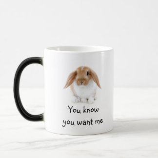 Mug/Rabbit Magic Mug