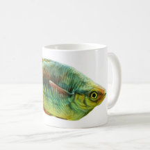 Rainbowfish géant