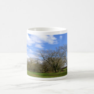 Mug rangée des arbres