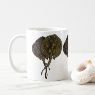 Mug Rayons vintages, Animaux de la vie marine