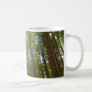 Mug Regard sur la forêt ancienne