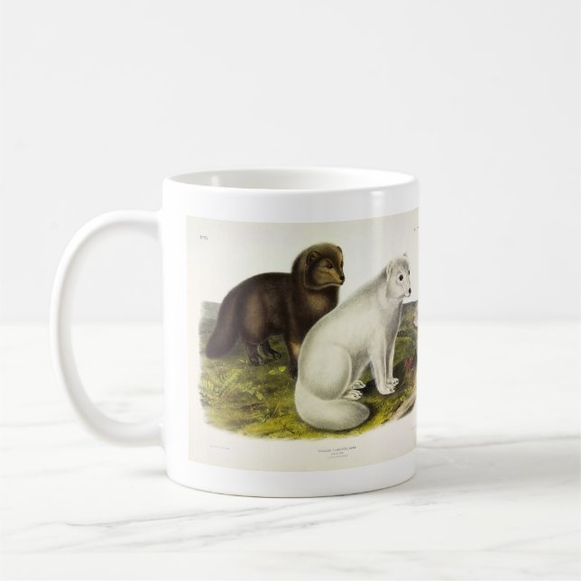 Mug Renard arctique (renard blanc, renard polaire, ren (Gauche)