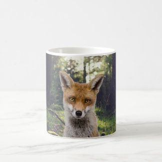 Mug Renard rouge en forêt