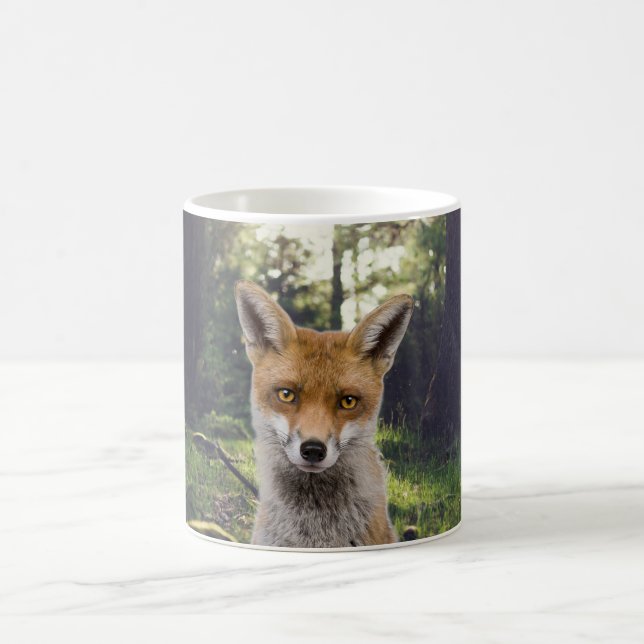 Mug Renard rouge en forêt (Centre)