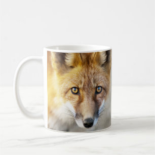 Mug Renard rouge, Gros plan