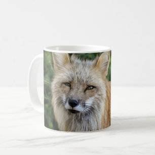 Mug Renard sauvage