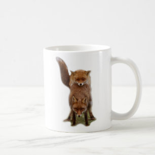 Mug Renards vifs