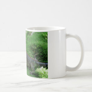 Mug Reptilian Look.JPG