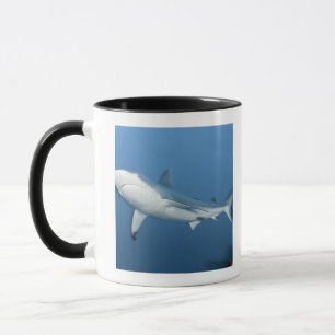 Mug Requin gris de récif (amblyrhynchos de
