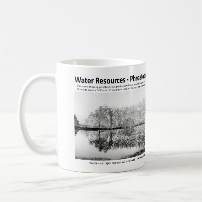 Mug Ressources en eau I - Phreatophytes sur le paysage (Gauche)
