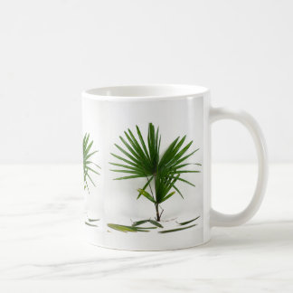 Mug Rhapis Excelsa (Palmier Dame) fraîchement cueillie