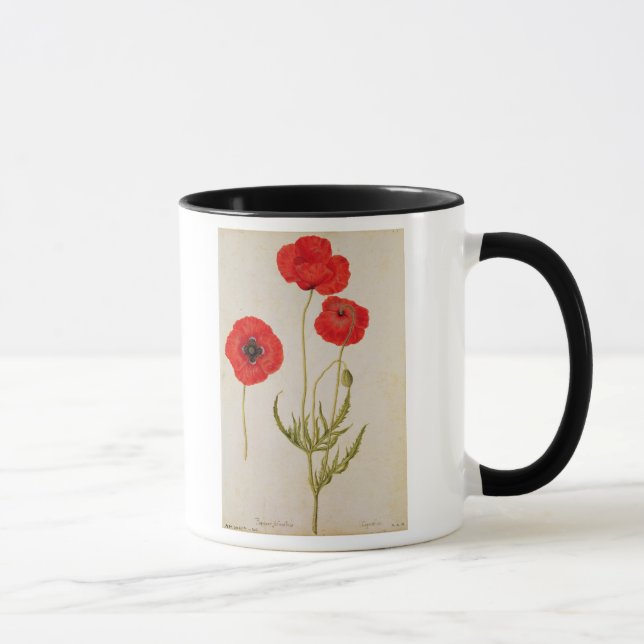 Mug Rhoeas de Papavar, c.1568 (Droite)