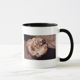 Mug Rondin en bois Petrified avec la photo de