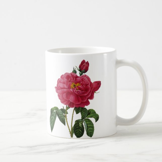 Mug Rosa Gallica (Droite)