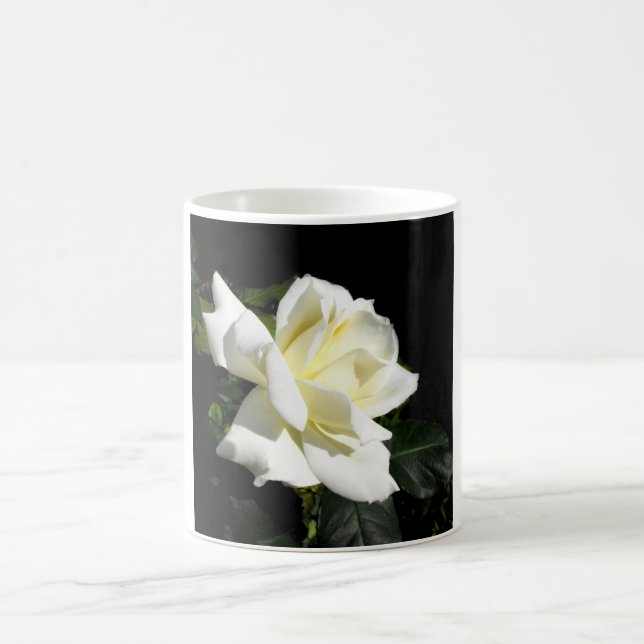 Mug Rose à thé hybride blanc Pascali (Centre)