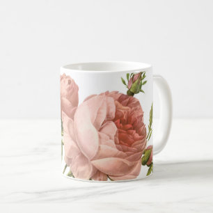 Mug rose de chou (Rosa centifolia foliacea) par Redout