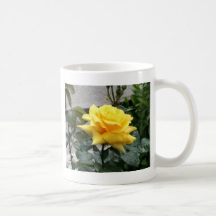 Mug Rose jaune du Texas
