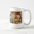 Rose mignon Empreintes de pattes Quatre Photos pou