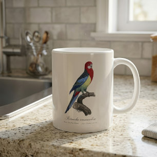 Mug Rosella orientale ou Perruche à tête pâle