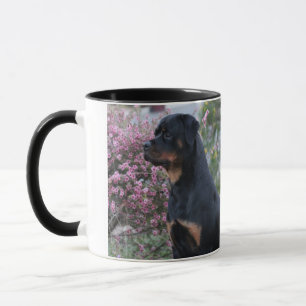 Mug Rottweiler