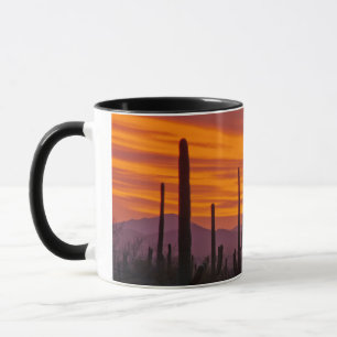 Mug Saguaro, coucher de soleil, Parc national de Sagua