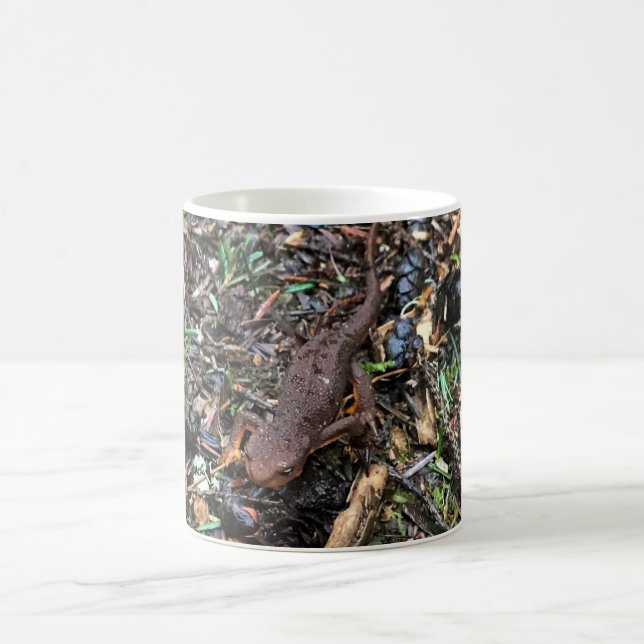 Mug Salamandre dans la forêt, Washington (Centre)