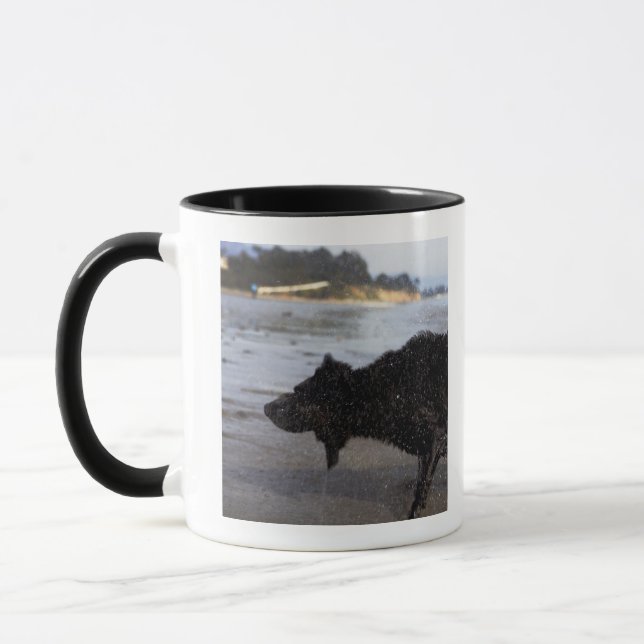 Mug Santa Barbara, la Californie, Etats-Unis (Gauche)