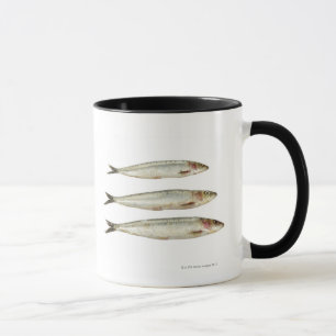 Mug Sardines (pilchards) 2