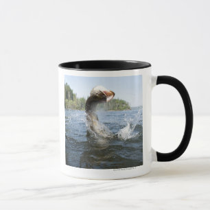 Mug Sauter de Pike du nord de l'eau dans un lac