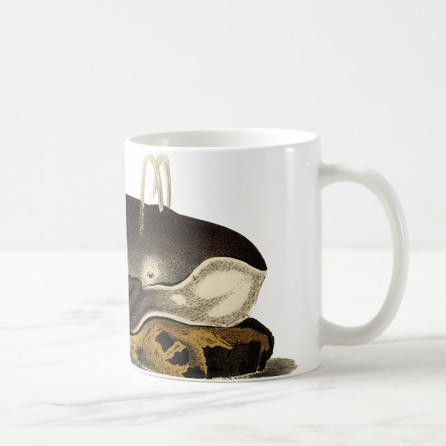 Mug Sauvez les baleines (Droite)