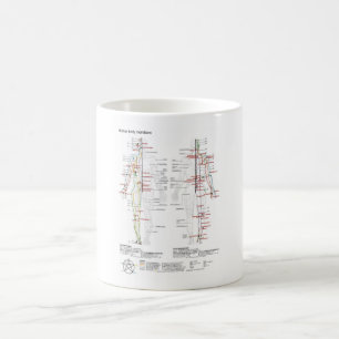 MUG Schéma Méridiens chinois Corps musculature