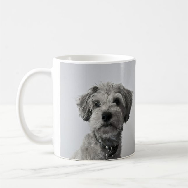 Mug Schnauzer Puppy Portrait Photo (Gauche)
