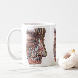Mug Science vintage Anatomie humaine, Visage avec nez